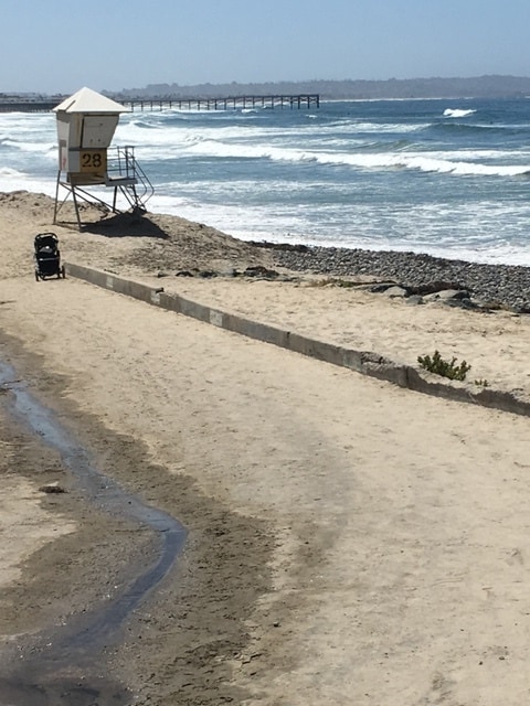 Photo - 5051 La Jolla Blvd Unit 209