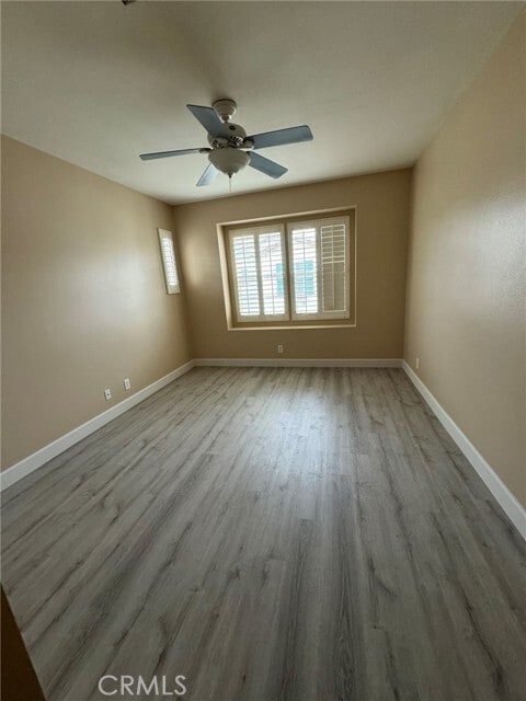 Photo - 30 Perennial