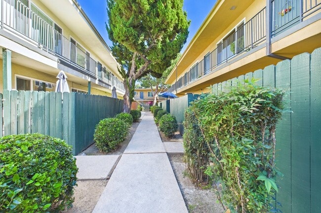 Photo - Roscoe Islander