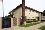 Photo - Mardi Gras Apartments