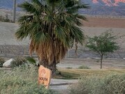 Photo - 84098 Caviano Dr