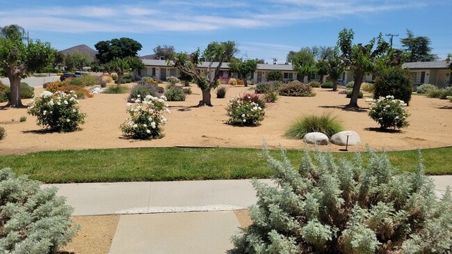 Photo - 26217 Birkdale Rd