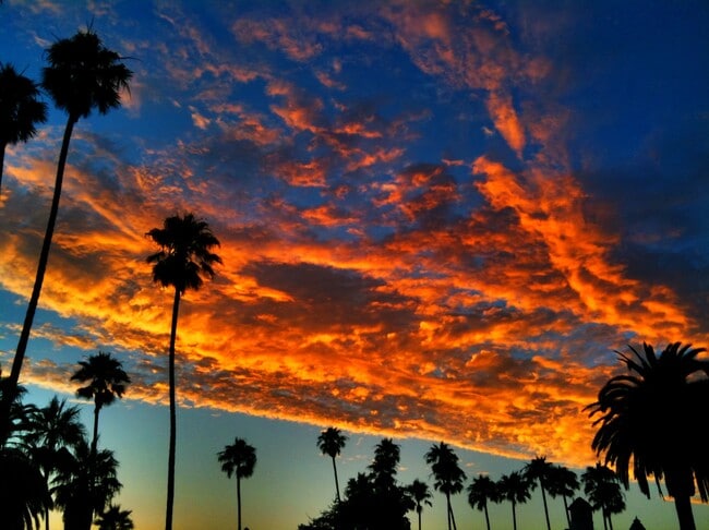 Stunning Sunsets from Living Room - 105 Avenida del Reposo Unit OCEANVIEW SC Condo