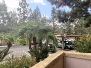 Photo - 12071 Alta Carmel Ct Unit 81