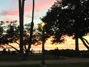 Palisades Park - 833 Ocean Ave Unit 101