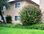 Photo - 1181 E Hollyvale St
