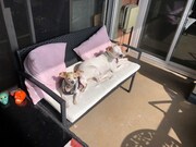 Photo - 2507 E 15th St Unit 119