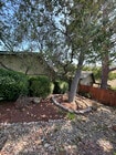 Photo - 5140 Caldera Ct