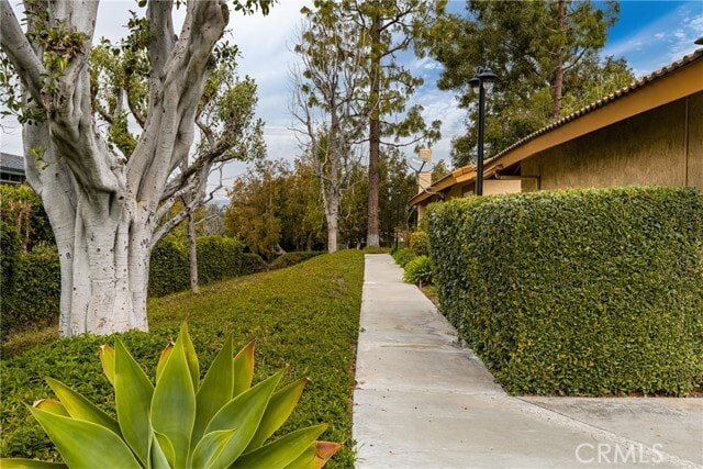 Photo - 2045 Bay Meadows Dr.