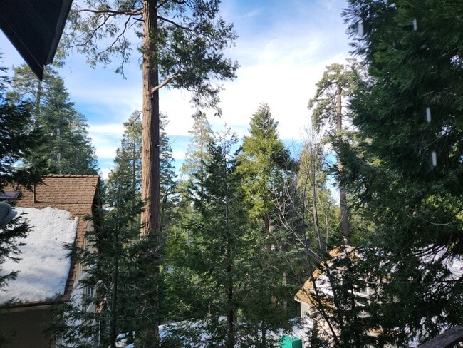 Photo - 865 Bear Springs Rd