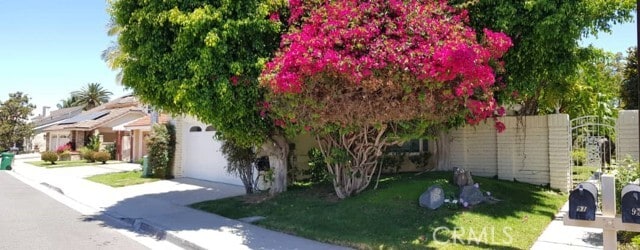 Photo - 91 Nighthawk