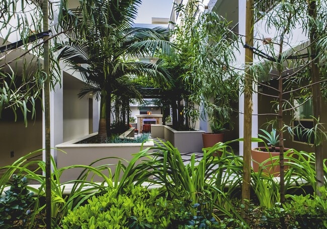 Courtyard - Park Encino