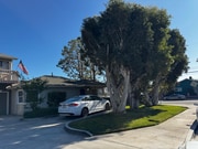 Photo - 1800 Viola Pl