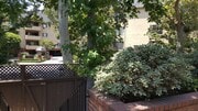 View to Street (From front door) - 638 Wilcox Ave