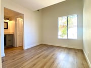 Photo - 501 Orange Blossom