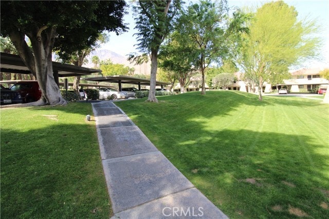 Photo - 2800 Los Felices Cir E Unit 113