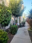 Photo - 4111 Poplar St Condo Unit 11