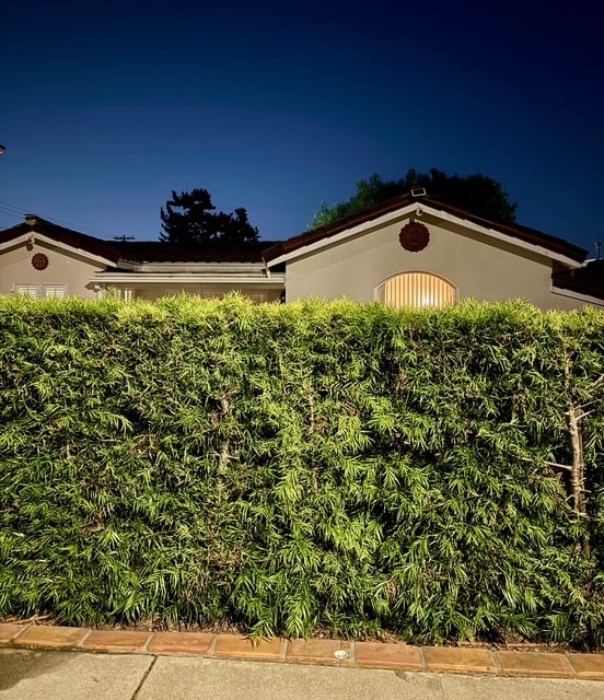 Photo - 2620 Graham Ave