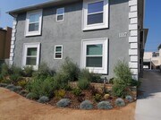 NEWLY PAINTED, LANDSCAPED, AND PAVED - 1117 Shenandoah St Apartment Unit 6