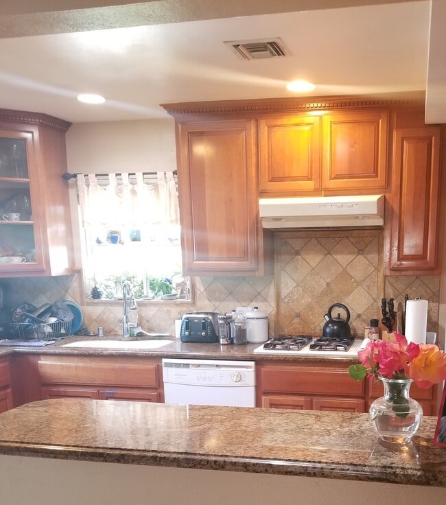 Kitchen Closeup - 2066 Trudie Dr Unit RoomforRent