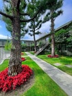 Beautiful, Clean, Quiet - Carlton Park Apartments