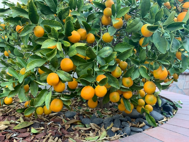 Photo - 8923 Grandville Cir