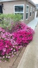 Photo - 1 Block from the Beach! Apartment Home in ... Unit 4830 Pescadero Ave
