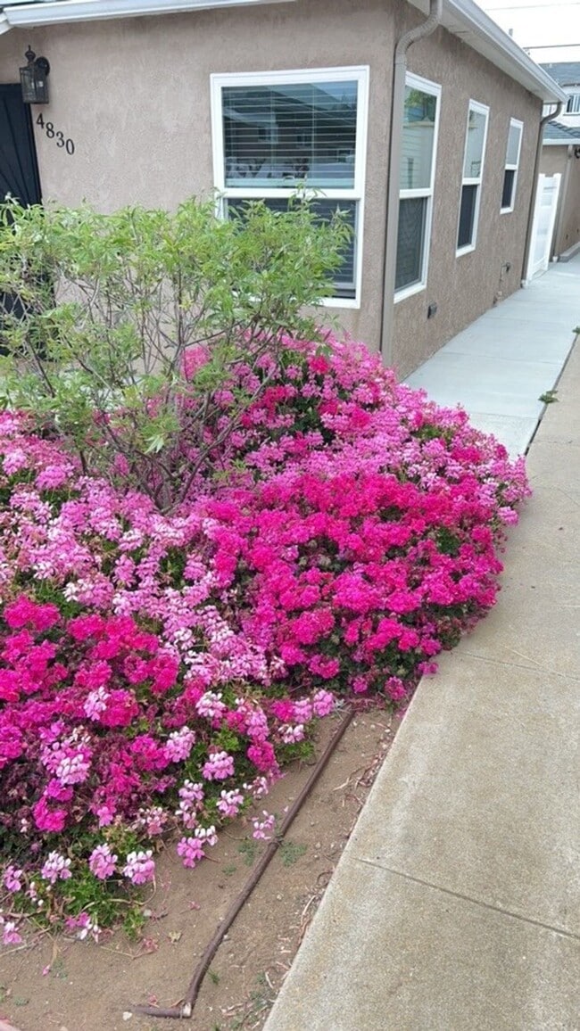 Photo - 1 Block from the Beach! Apartment Home in Ocean Beach! Private Garage! Private Patio! Unit 4830 Pescadero Ave