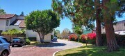 Photo - 4502 Emerald St Townhome