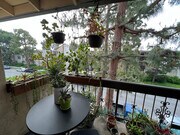 Photo - 6151 Canterbury Dr Unit 302