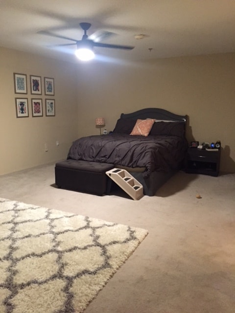 Building Photo - 4501 Cedros Ave Unit 129