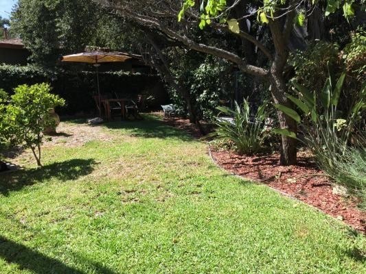 Side yard - 741 Elmira St