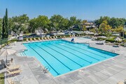 Hillsborough Swim Club Pool - Marquis at Otay Ranch