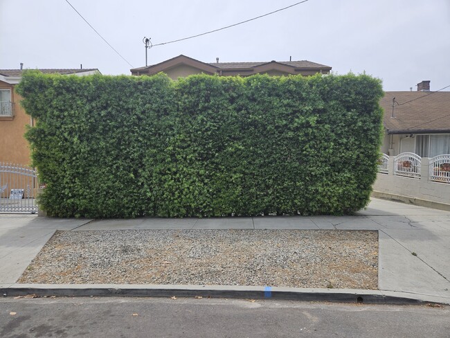 From Street Privacy Hedge - 3424 Bellevue Ave