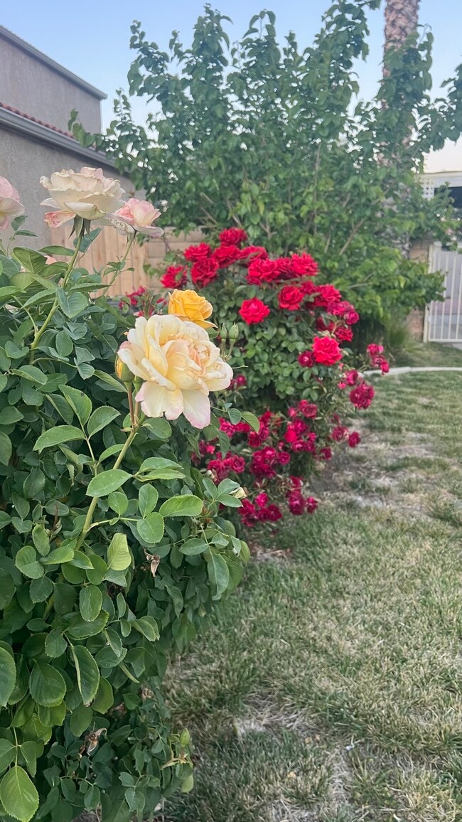 front gardan - 38238 La Loma Ave