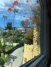 View from living room couch to bedroom deck - 1760 N Fairfax Ave House
