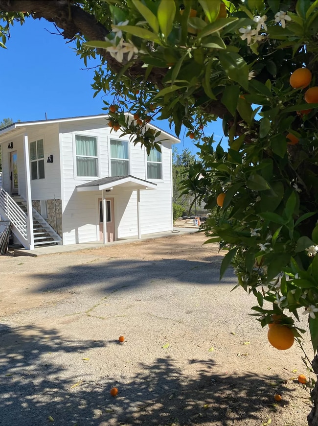 Upstairs Available - 732 Cedar Ave Unit 1.25