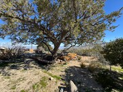 Photo - 70625 Granite Ln