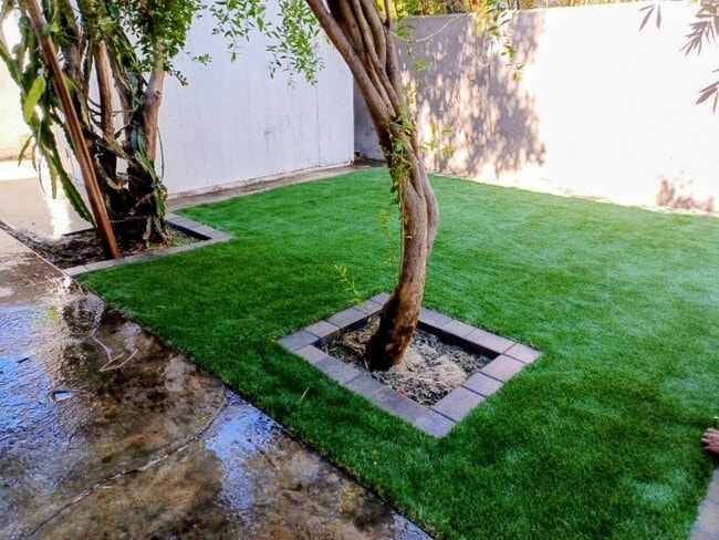 Photo - 927 Freeman Ave