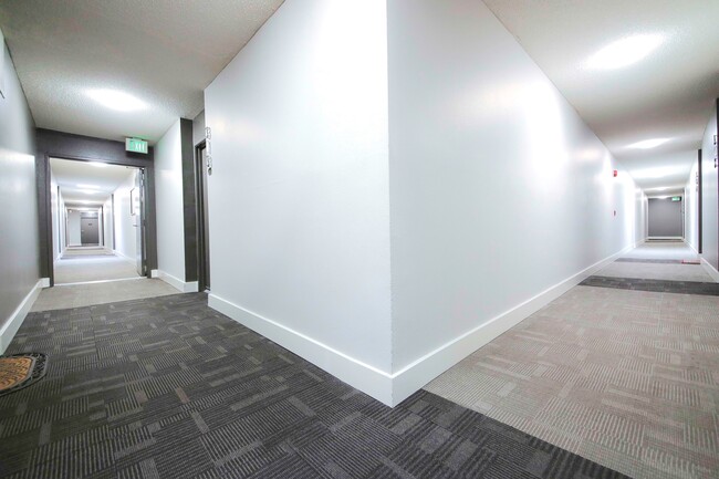 Hallway - Sterling Court Apartments