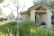 Primary Photo - Pinecrest Apartments