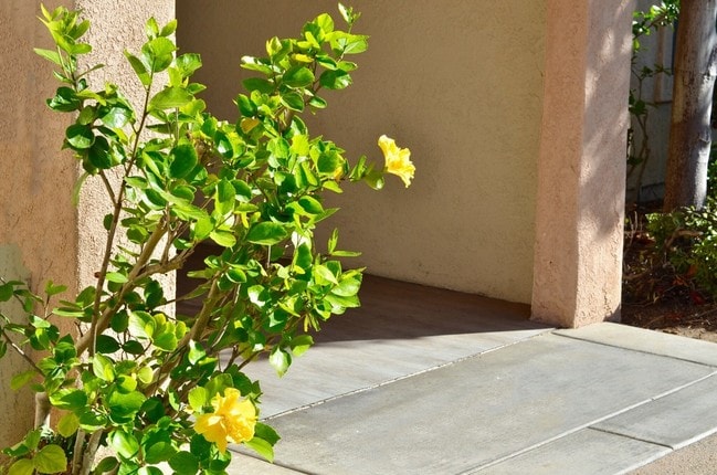 Photo - Heritage Pointe Senior Apartments