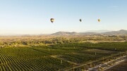 Photo - Vineyards at Paseo Del Sol