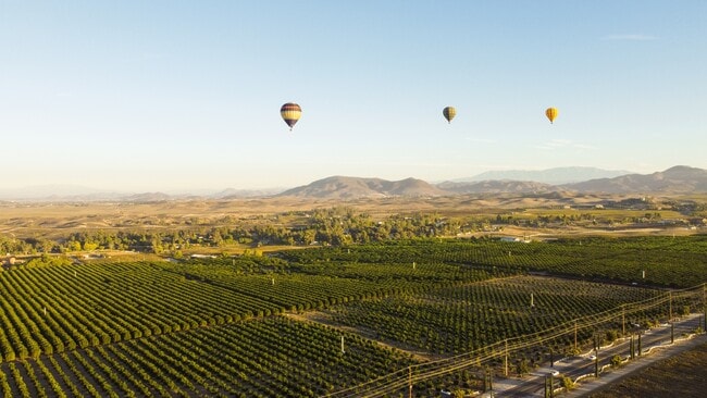Photo - Vineyards at Paseo Del Sol