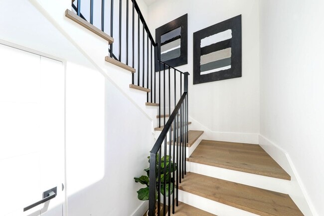 Photo - 715 Narcissus, 2