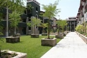 Photo - 228 S Olive Ave Condo