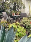 Garden in front w/ chairs - 829 11th St