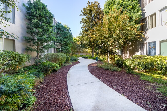 Courtyard - Woodland House Apartments