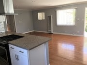 Living/Kitchen - 546 Salem St House