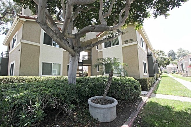 Photo - 7575 Charmant Dr Condo Unit 1012